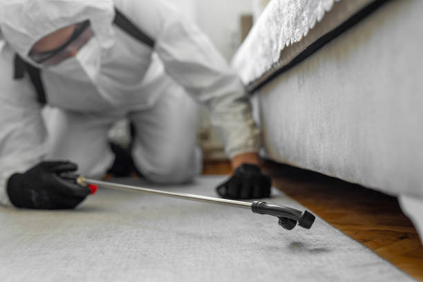 Professional Fumigation Services technician working in East Camden, SC