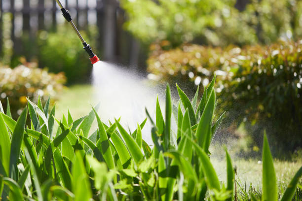 24/7 Emergency Fumigation Services experts in East Camden, SC