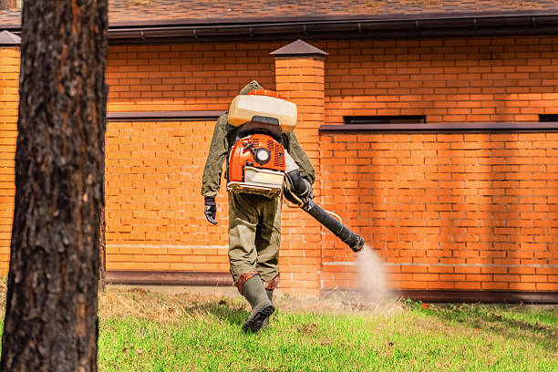 Trusted Emergency Pest Control service in East Camden, SC - Nex Pest Control
